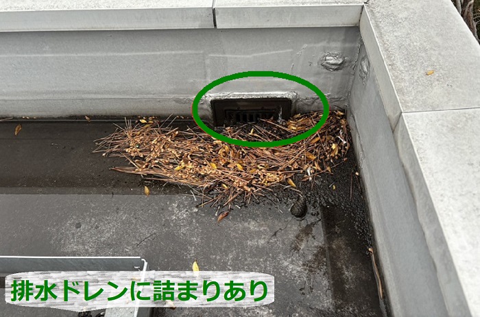 陸屋根排水ドレンに詰まりあり