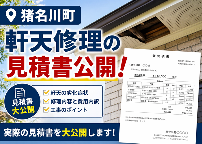 猪名川町★【軒天修理の見積もり公開】ＩＧ工業・ガルスパンを使った事例‼