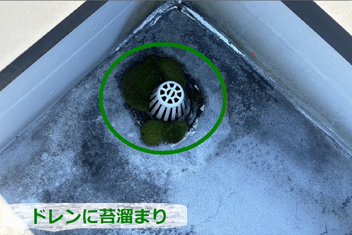 2階建てハイツの屋上に苔溜まり