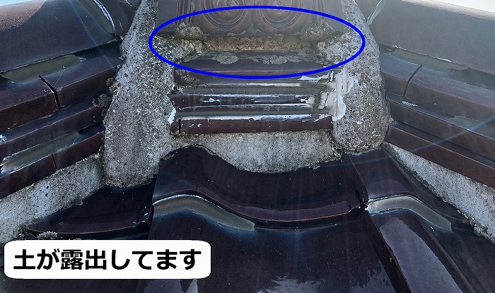 土が露出している