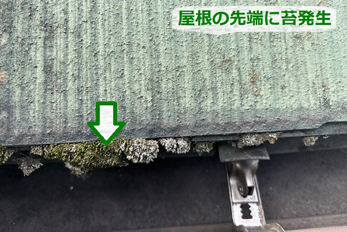 屋根の先端に苔発生