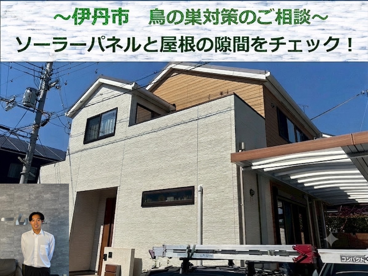 伊丹市★屋根と太陽光パネルの隙間に鳥の巣！？板金で侵入阻止