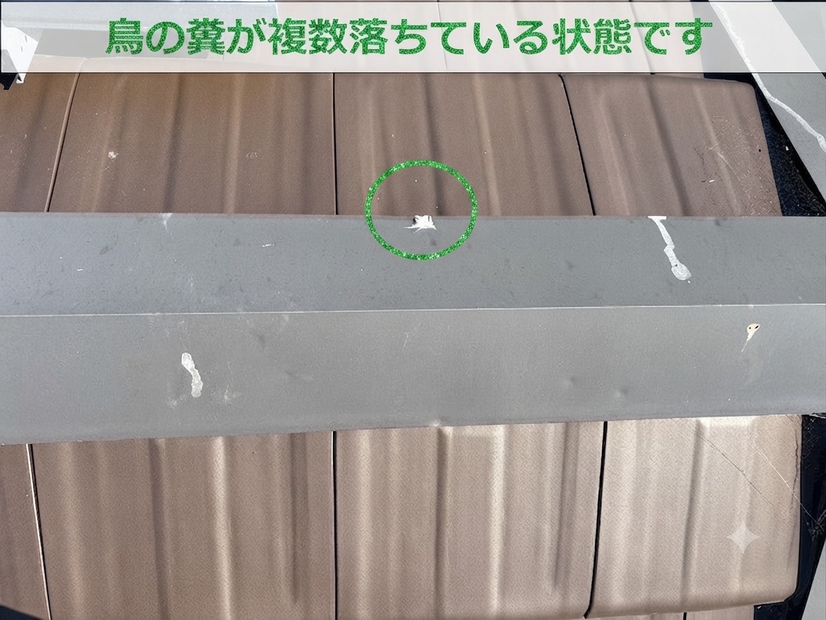 屋根上の鳥の糞