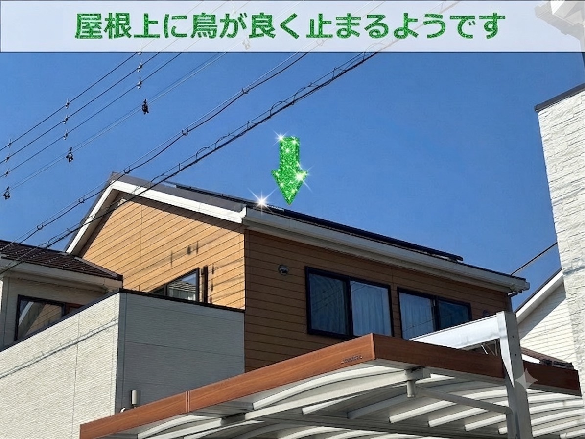 屋根上のソーラーパネル