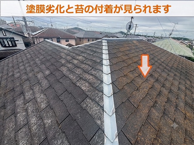 過去に塗装歴は無いそうです