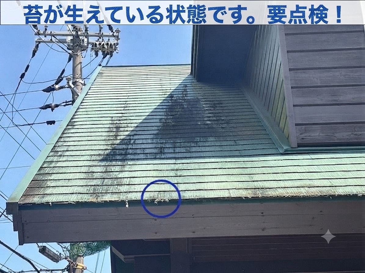 苔が発生したカラーベスト