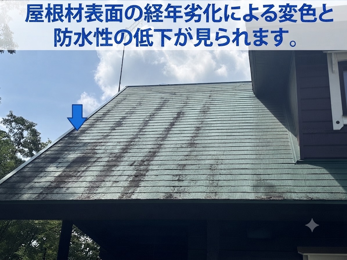 色褪せたカラーベスト