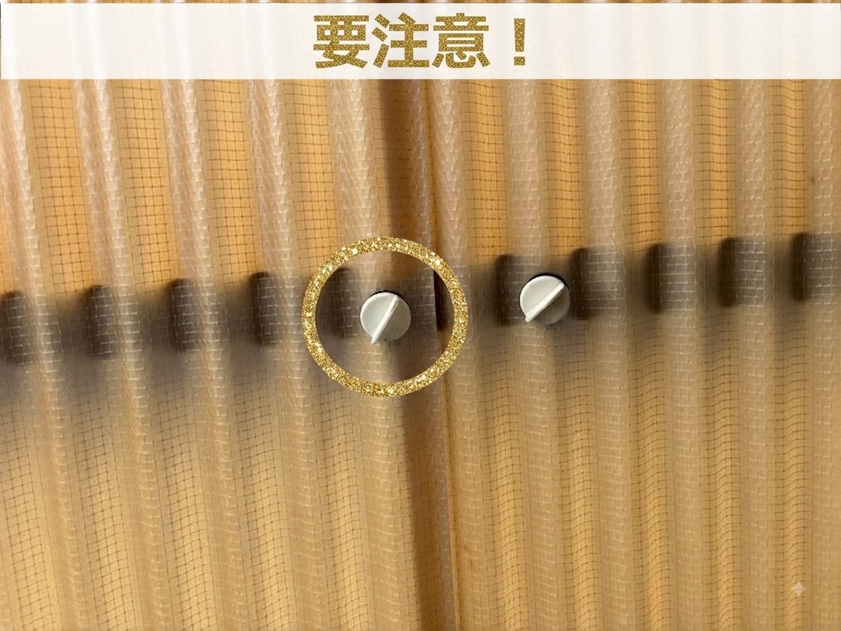 日焼けしたプラフック