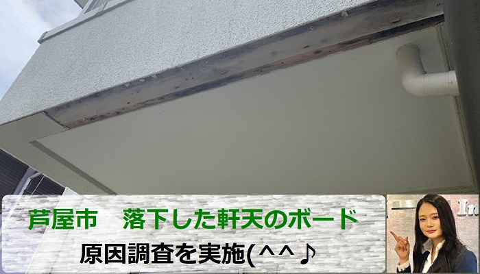 芦屋市　軒天剥がれ相談！ベランダ下のボードが落下した原因を無料調査