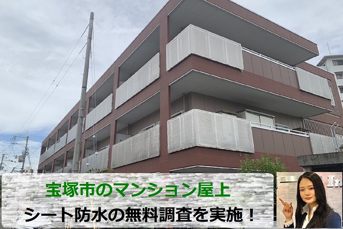 宝塚市でマンション屋上のシート防水を無料調査した現場の様子