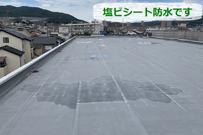 宝塚市のマンション屋上でシート防水の無料調査を行う現場の様子