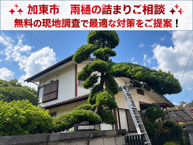 加東市★雨樋の詰まりで排水不良！軒樋・集水器を点検して原因を徹底調査