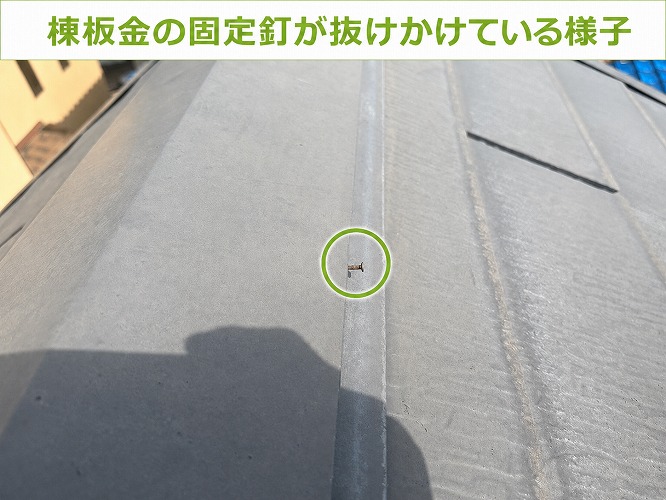 棟板金の固定釘が抜けかけている様子
