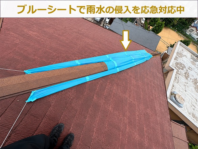 ブルーシートを被せている様子