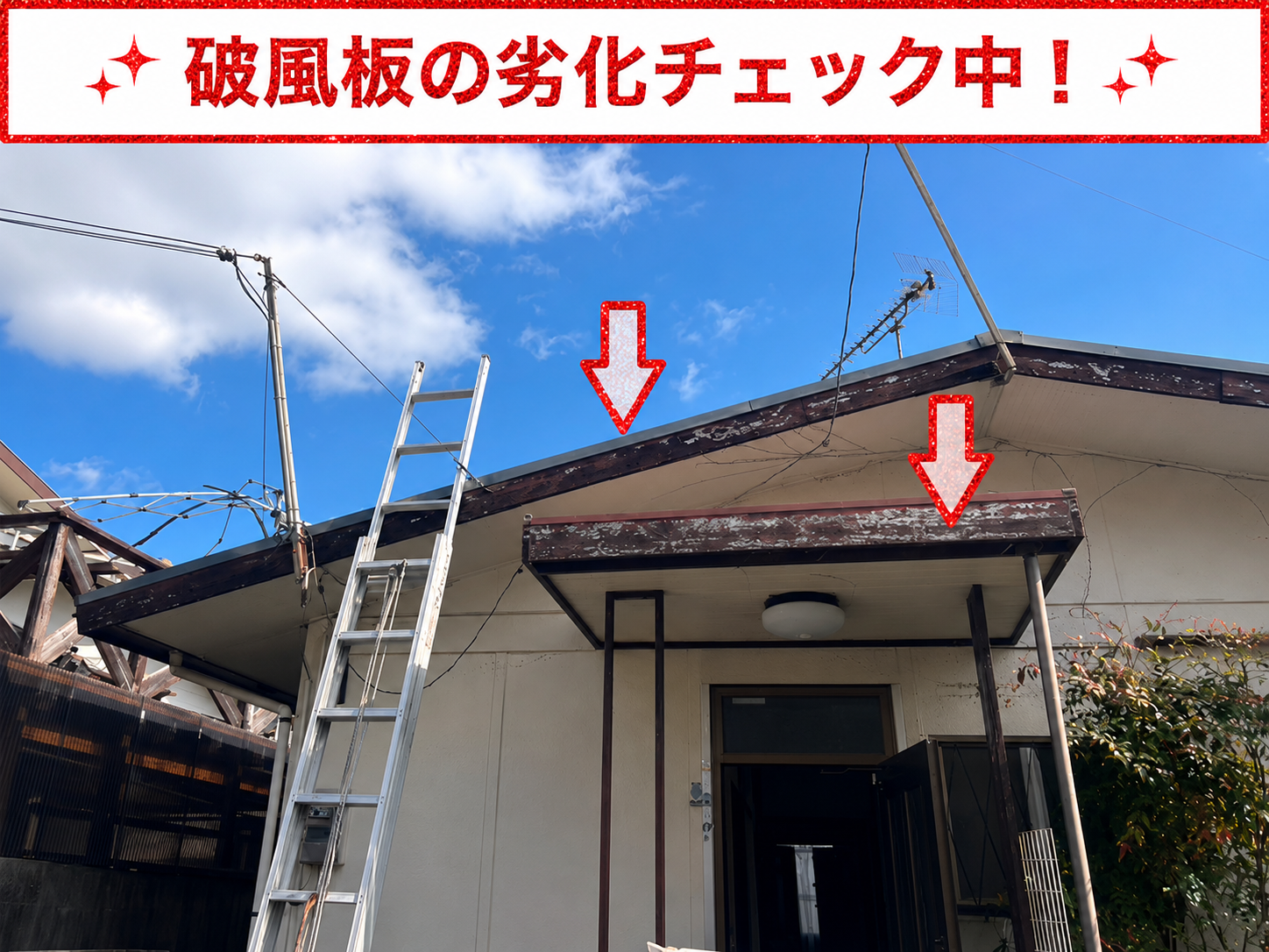 平屋戸建ての破風板