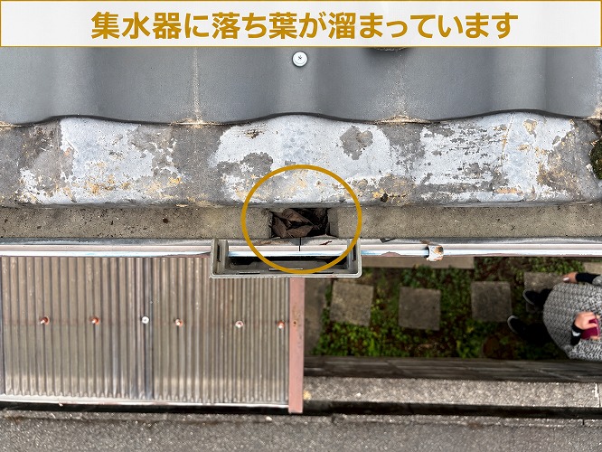 集水器内部の落ち葉の詰まり