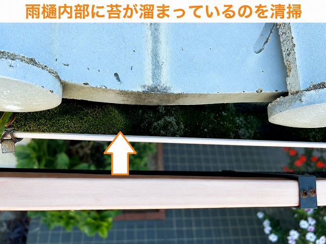 雨樋内部の苔を清掃