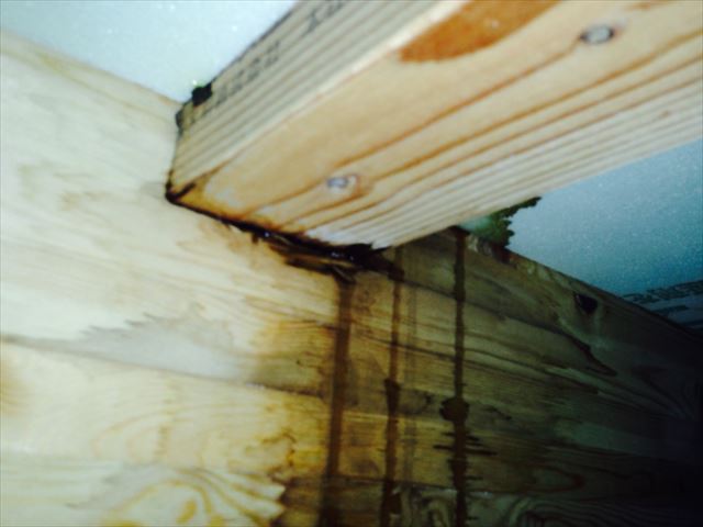 雨漏りは柱や梁、桁などの家の躯体を弱めてしまいます。