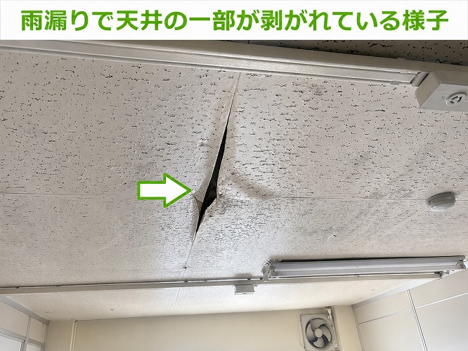雨漏りで剥がれている天井