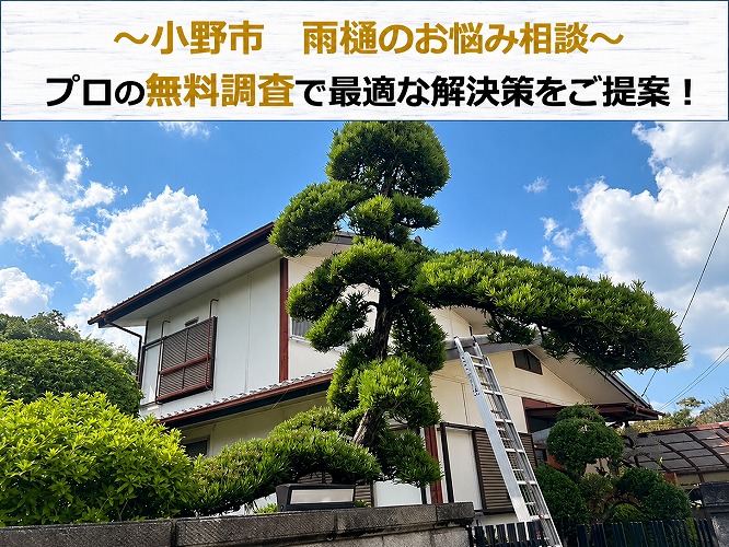 小野市で雨樋の詰まり相談を頂き専門業者が無料調査を実施