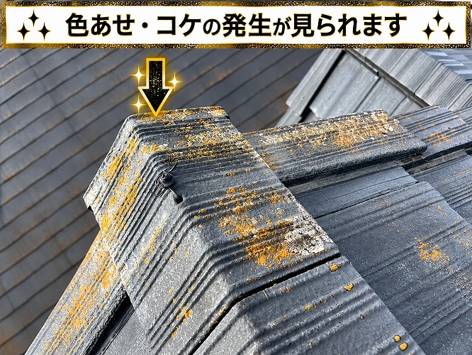 苔が発生しているセメント瓦
