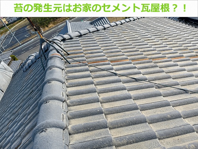 雨樋詰まりの原因はセメント瓦屋根
