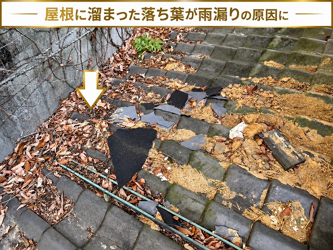 屋根上に落ち葉が溜まっている様子