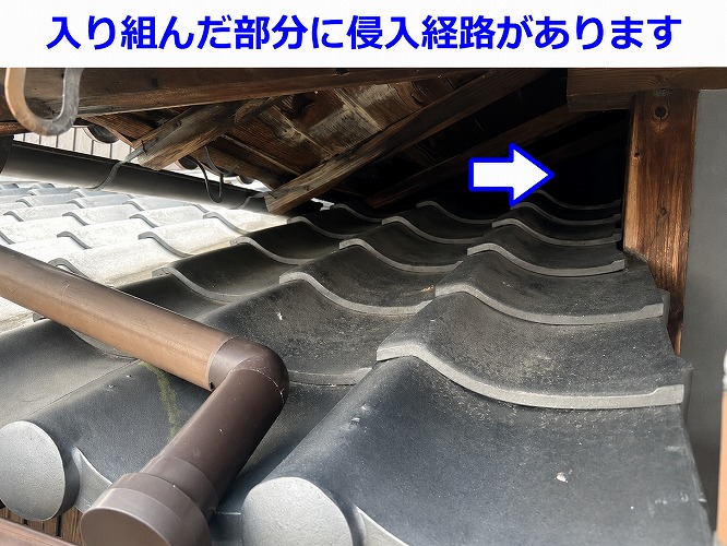 猫の侵入経路