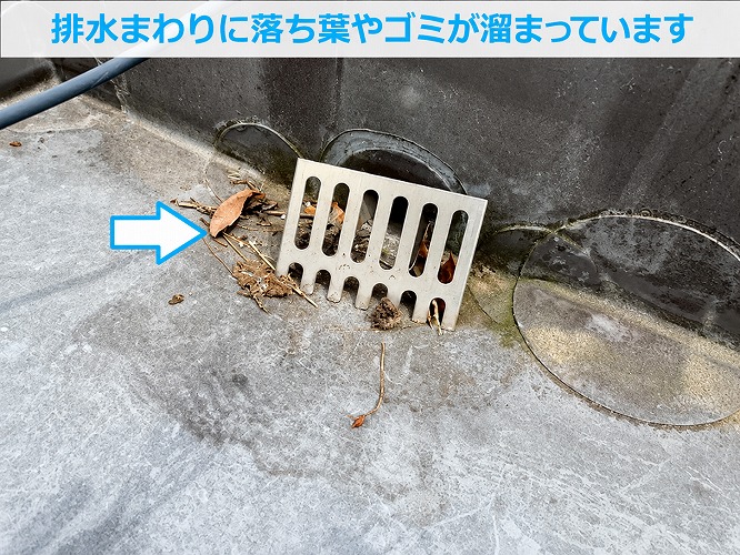 排水ドレンに溜まるゴミ