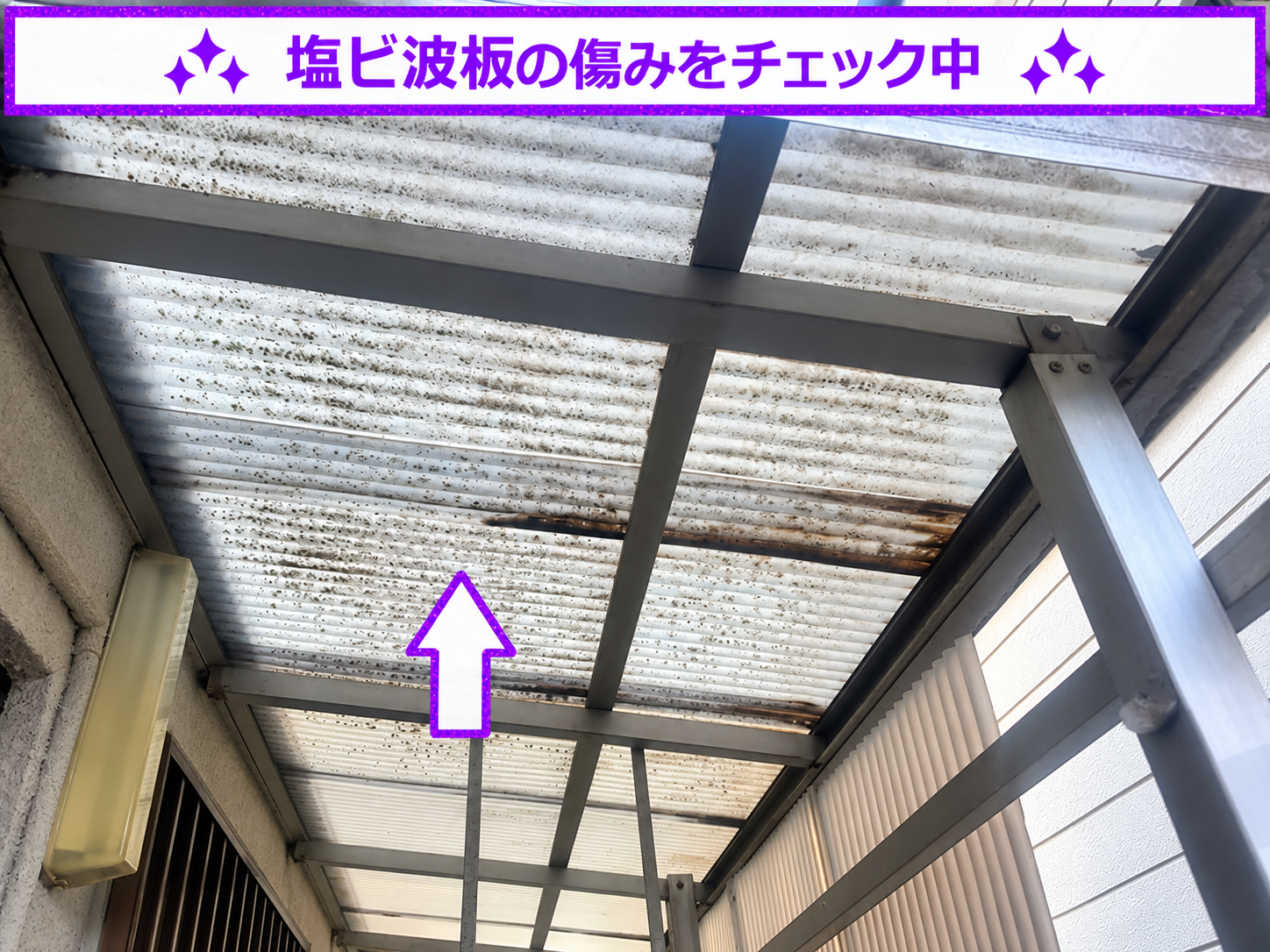 テラス屋根に塩ビ製の波板が貼られている様子