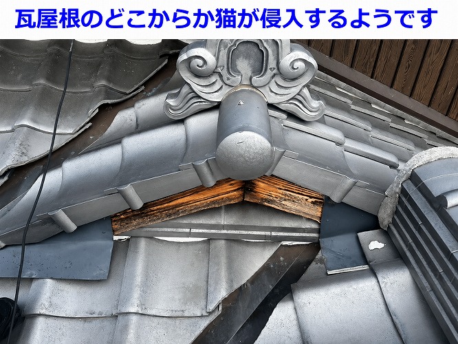 瓦屋根の様子