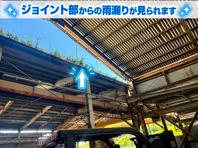 雨樋の清掃が必要な状態