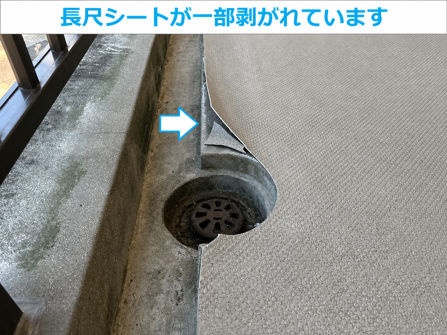 長尺シートが剥がれている様子