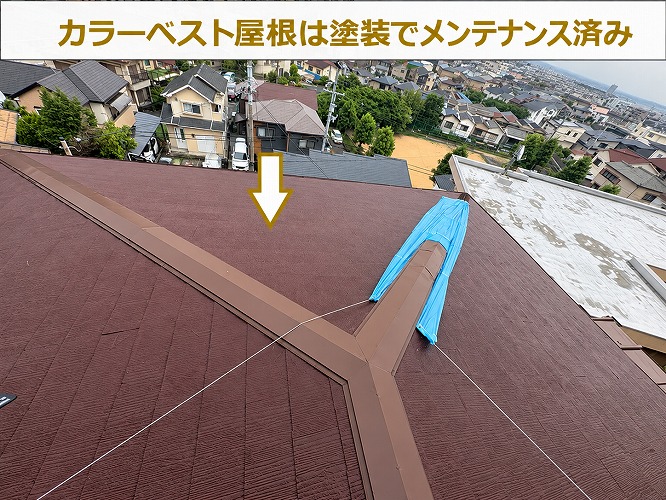 塗装済のカラーベスト