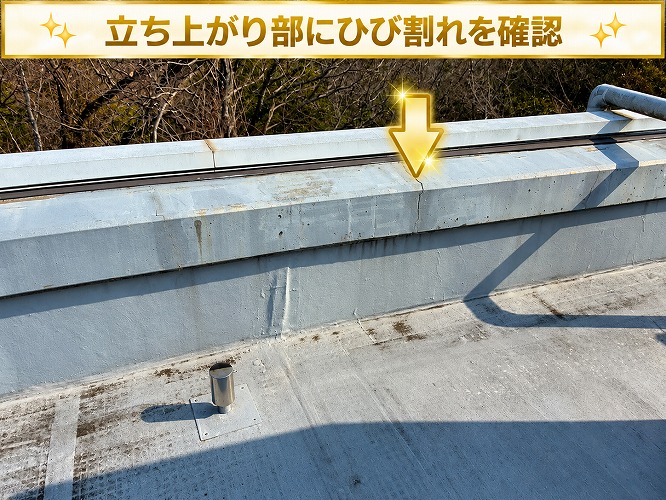 防水層のひび割れ