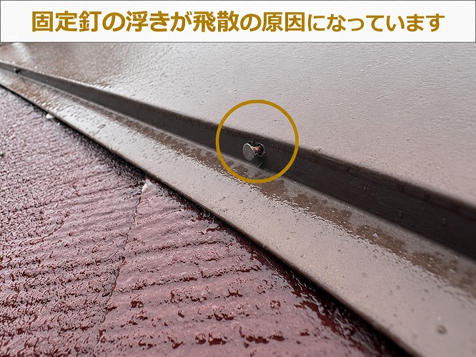 固定釘の抜け