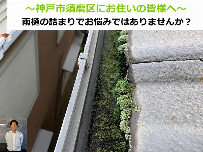 神戸市東灘区★雨樋から水漏れ？原因は雨樋に発生した大量の苔？
