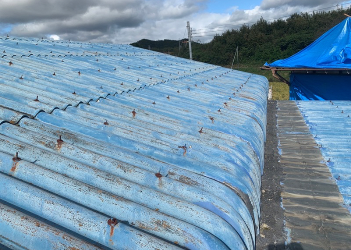 三木市　経年劣化でカバー工事が必要となった大波スレート