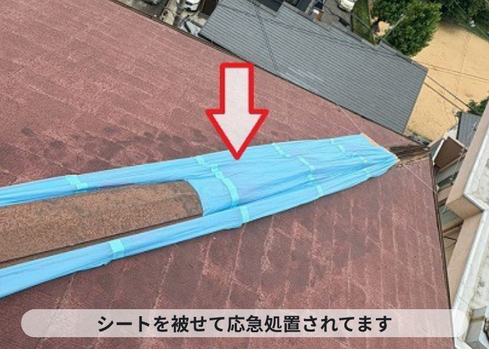 神戸市東灘区　シート養生された棟板金