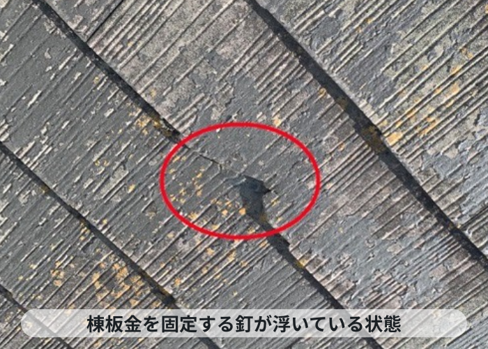 棟板金の固定釘が錆びて浮いています