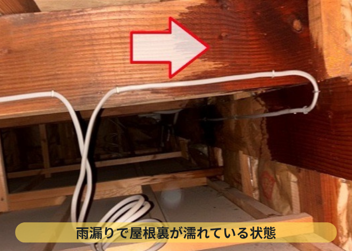 西宮市　雨漏りの影響で屋根裏が濡れている様子