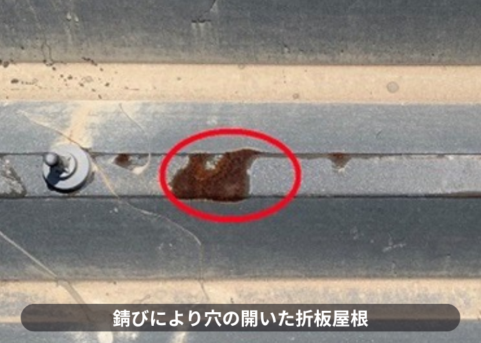 伊丹市　商業施設の折半屋根からの雨漏り原因は錆が酷く穴が開いている様子