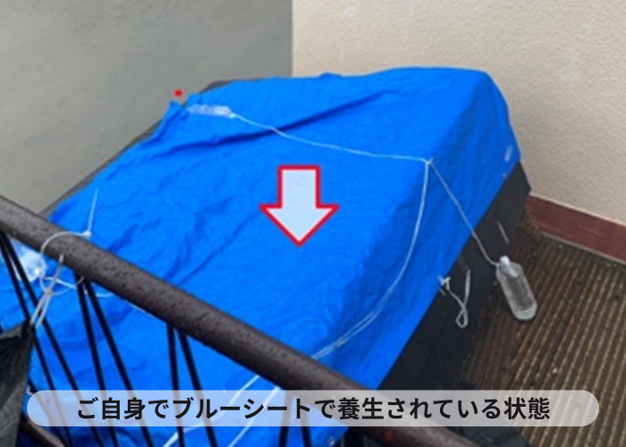 伊丹市　増築部分のスレート屋根をブルーシートで養生している様子