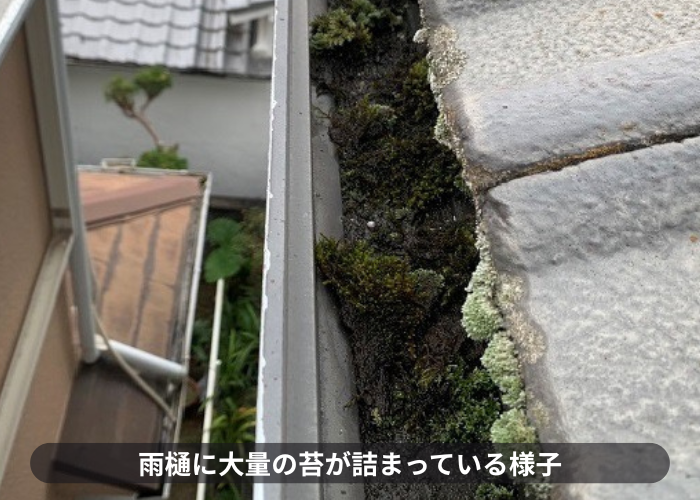 西宮市　雨樋内部に大量の苔が詰まている様子