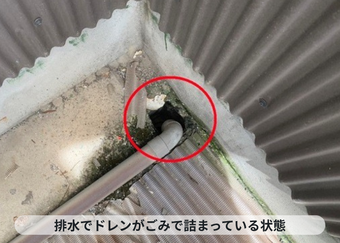 伊丹市　雨漏り修理を行うバルコニーの排水ドレンにゴミ溜まりを確認