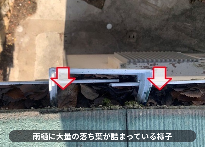 西宮市　屋根と外壁の無料点検で雨樋内部に落ち葉が詰まっている様子