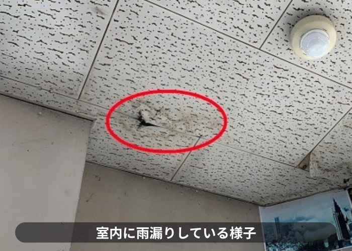 伊丹市　折半屋根からの雨漏りで天井材が破れている様子