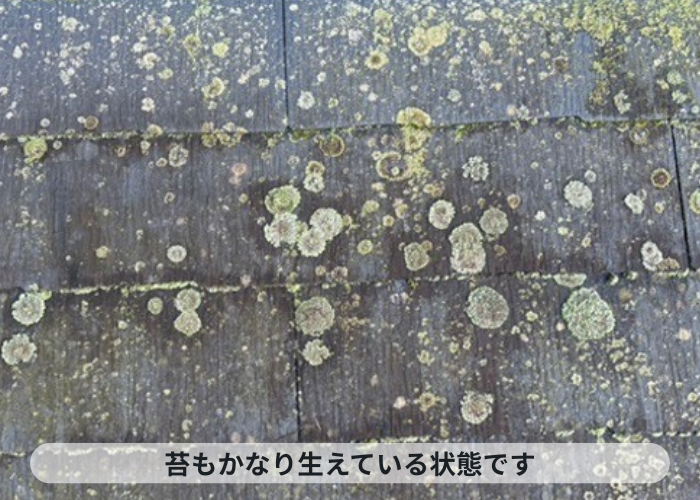 猪名川町　ノンアスベスト屋根材の表面に苔が発生している様子