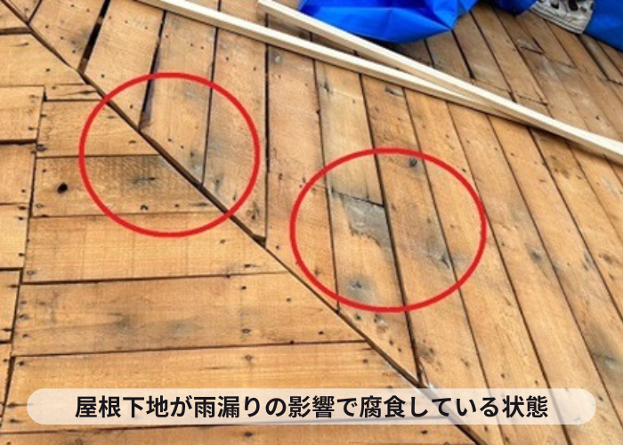 尼崎市　瓦屋根からの雨漏りで屋根下地が一部腐食している様子