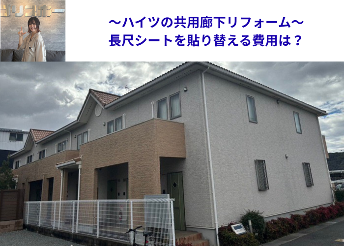市川町の皆様へ、ハイツの共用廊下リフォームで長尺シートを貼り替える現場の様子